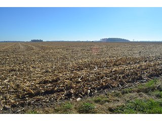 Tracts 4 & 5 - FARMLAND AUCTION - 165.5+/- ACRES OFFERED IN 5 TRACTS OR COMBINATIONS IN EAST ALLEN COUNTY
